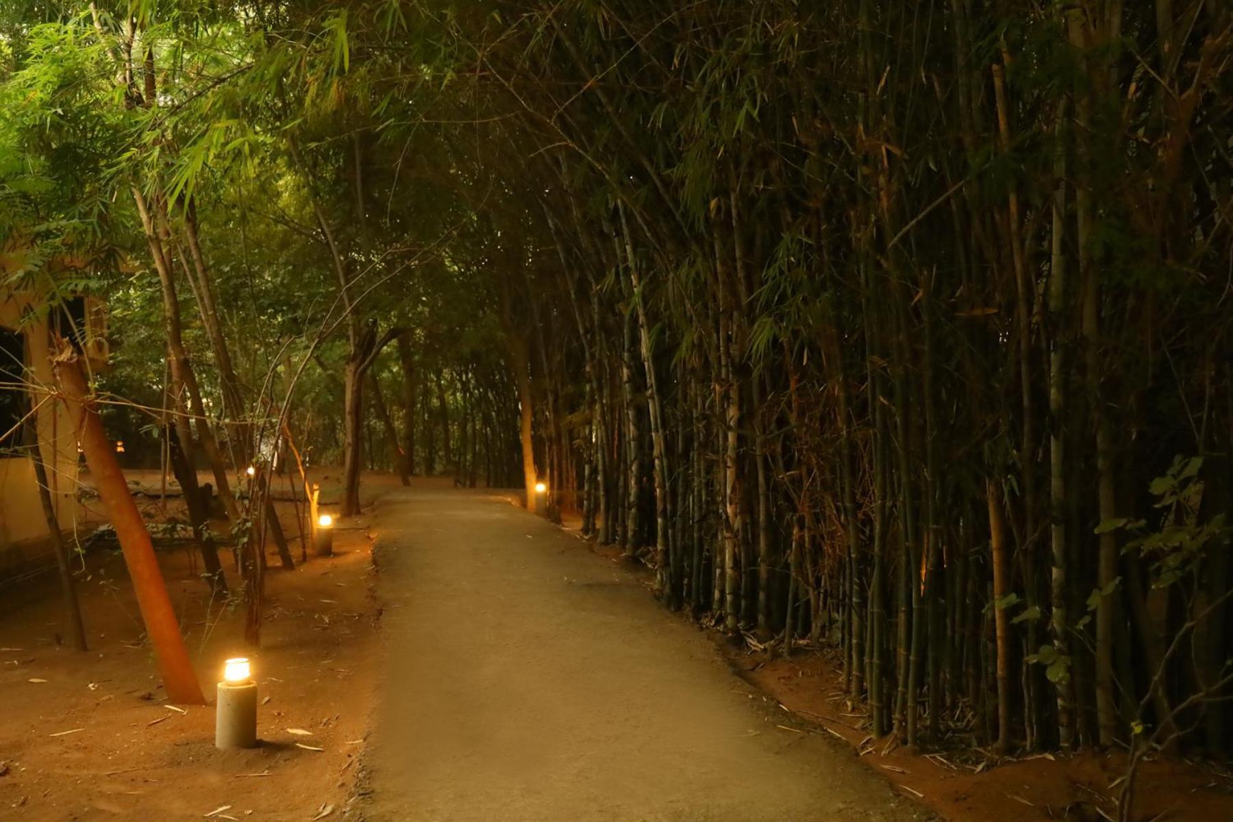 Panna Tiger Resort- Riverside Property Rajgarh  Exterior photo